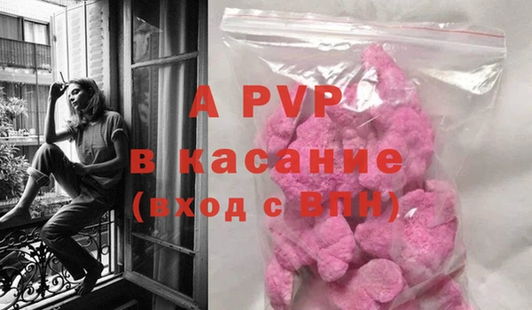PSILOCYBIN Аркадак