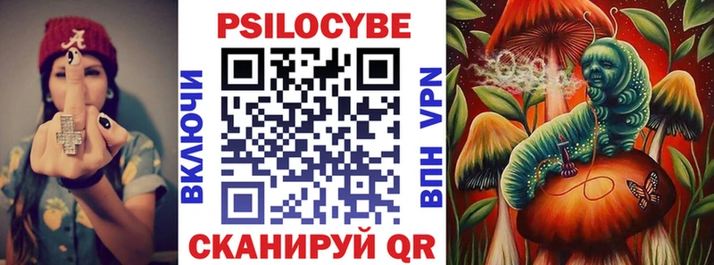 Псилоцибиновые грибы Cubensis  купить   Солигалич 
