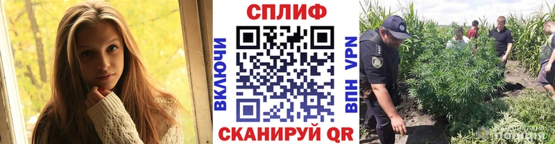 как найти закладки  блэк спрут сайт  Шишки марихуана план  Солигалич 
